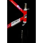Colnago Dream Track Frameset