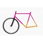 Ventura Custom Fixed Frameset (Numerouno) Ventura Custom Fixed Frameset (Numerouno)