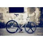 Ventura Custom Fixed Frameset (Numerouno) Ventura Custom Fixed Frameset (Numerouno)